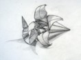 /album/rajzok/origami-jpg/